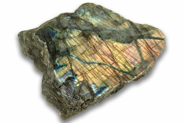 Single Side Polished Labradorite Section - Madagascar #324684